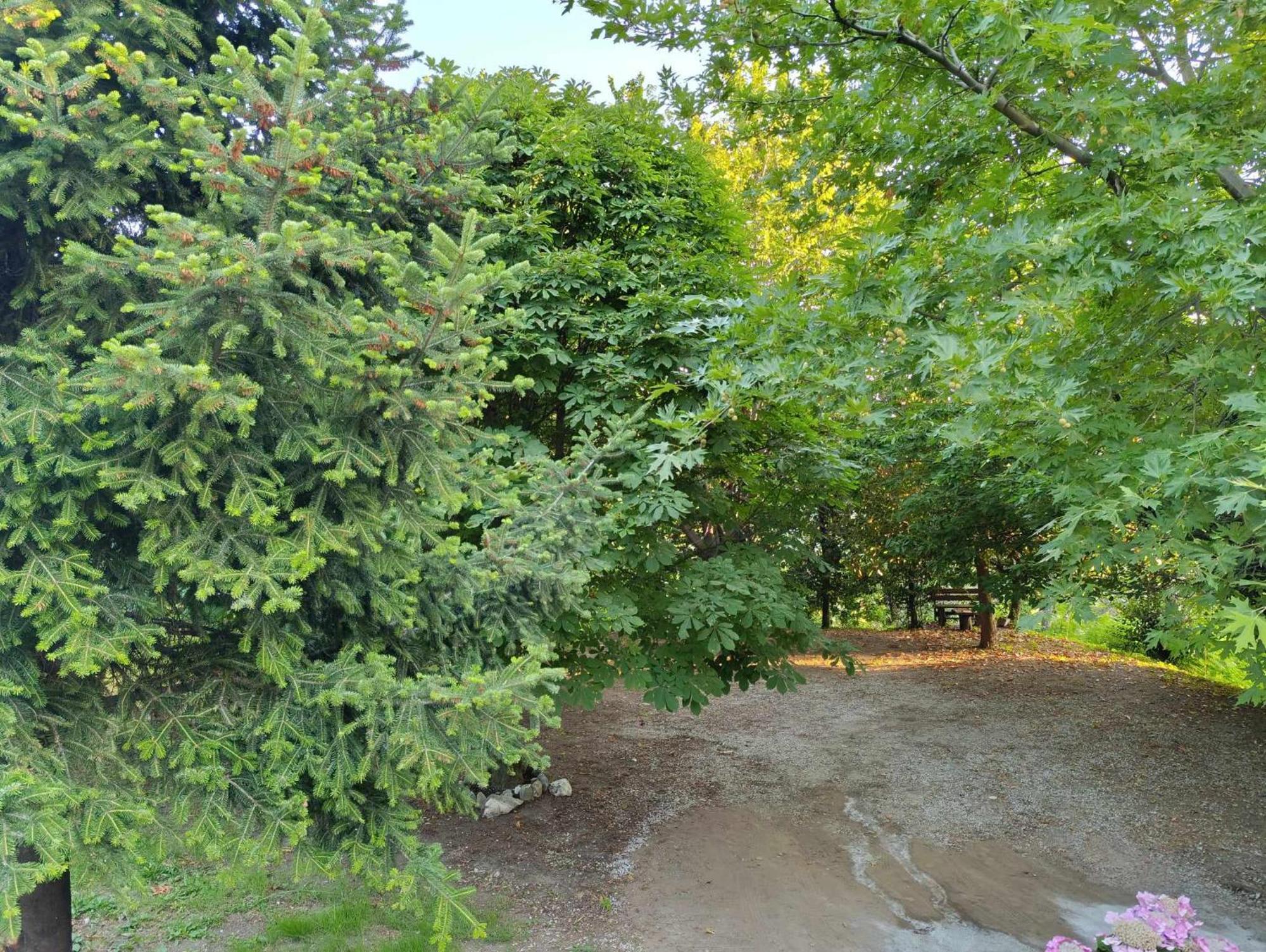 Μountain Whispers Apartment Mourésion Екстериор снимка